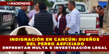 INDIGNACIÓN EN CANCÚN: DUEÑOS DEL PERRO ASFIXIADO ENFRENTAN MULTA E INVESTIGACIÓN LEGAL