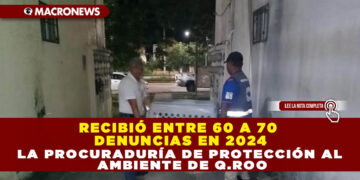 RECIBIÓ ENTRE 60 A 70 DENUNCIAS EN 2024 LA PROCURADURÍA DE PROTECCIÓN AL AMBIENTE DE Q.ROO