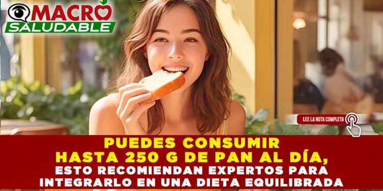 PUEDES CONSUMIR HASTA 250 G DE PAN AL DÍA, ESTO RECOMIENDAN EXPERTOS PARA INTEGRARLO EN UNA DIETA EQUILIBRADA