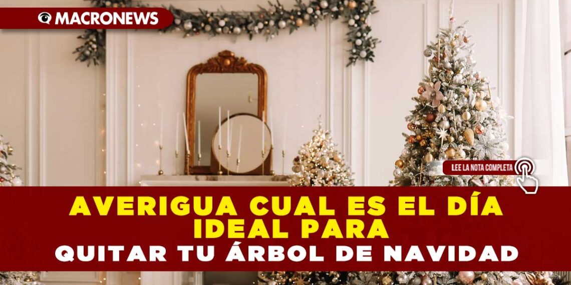 AVERIGUA CUAL ES EL DÍA IDEAL PARA QUITAR TU ÁRBOL DE NAVIDAD