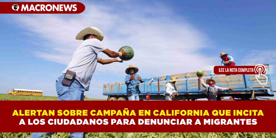 ALERTAN SOBRE CAMPAÑA EN CALIFORNIA QUE INCITA A LOS CIUDADANOS PARA DENUNCIAR A MIGRANTES VER NOTA: