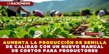 AUMENTA LA PRODUCCIÓN DE SEMILLA DE CALIDAD CON UN NUEVO MANUAL DE COSTOS PARA PRODUCTORES