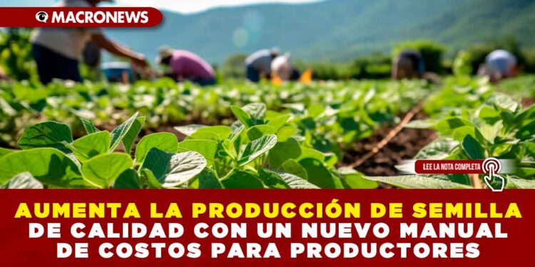 AUMENTA LA PRODUCCIÓN DE SEMILLA DE CALIDAD CON UN NUEVO MANUAL DE COSTOS PARA PRODUCTORES