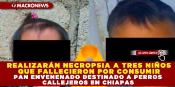 REALIZARÁN NECROPSIA A TRES NIÑOS QUE FALLECIERON POR CONSUMIR PAN ENVENENADO DESTINADO A PERROS CALLEJEROS EN CHIAPAS