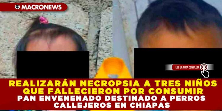 REALIZARÁN NECROPSIA A TRES NIÑOS QUE FALLECIERON POR CONSUMIR PAN ENVENENADO DESTINADO A PERROS CALLEJEROS EN CHIAPAS