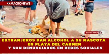EXTRANJEROS DAN ALCOHOL A SU MASCOTA EN PLAYA DEL CARMEN Y SON DENUNCIADOS EN REDES SOCIALES
