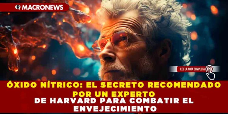 ÓXIDO NÍTRICO: EL SECRETO RECOMENDADO POR UN EXPERTO DE HARVARD PARA COMBATIR EL ENVEJECIMIENTO