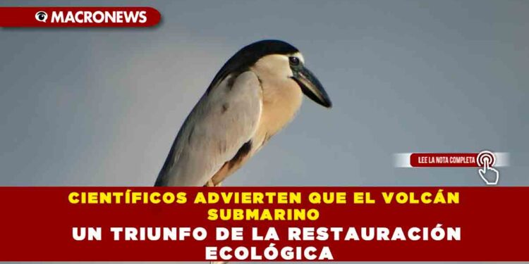 REGRESO DE ESPECIES A PUNTA SUR: UN TRIUNFO DE LA RESTAURACIÓN ECOLÓGICA