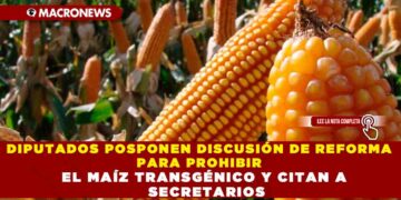 DIPUTADOS POSPONEN DISCUSIÓN DE REFORMA PARA PROHIBIR EL MAÍZ TRANSGÉNICO Y CITAN A SECRETARIOS