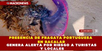 PRESENCIA DE FRAGATA PORTUGUESA EN BACALAR  GENERA ALERTA POR RIESGO A TURISTAS Y LOCALES
