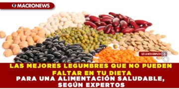 LAS MEJORES LEGUMBRES QUE NO PUEDEN FALTAR EN TU DIETA PARA UNA ALIMENTACIÓN SALUDABLE, SEGÚN EXPERTOS