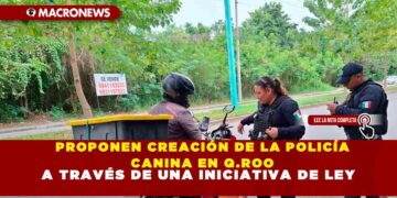 PROPONEN LEY PARA CREAR UNA POLICÍA CANINA EN Q.ROO PARA FORTALECER LA SEGURIDAD