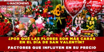 ¿POR QUÉ LAS FLORES SON MÁS CARAS EN EL DÍA DE SAN VALENTÍN? CONOCE LOS FACTORES QUE INFLUYEN EN SU PRECIO