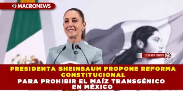 PRESIDENTA SHEINBAUM PROPONE REFORMA CONSTITUCIONAL PARA PROHIBIR EL MAÍZ TRANSGÉNICO EN MÉXICO