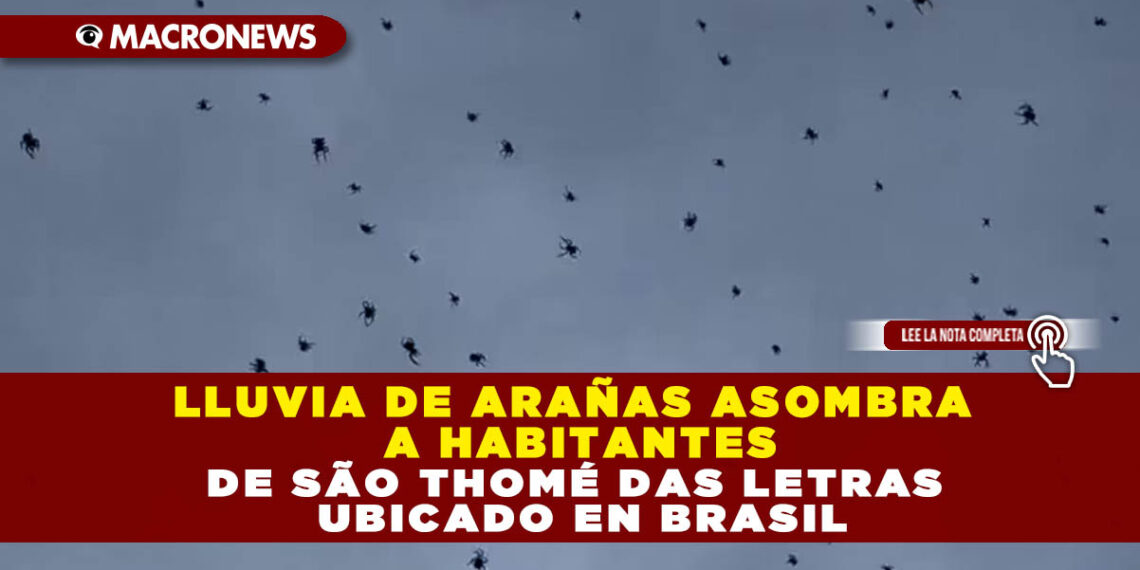 LLUVIA DE ARAÑAS ASOMBRA A HABITANTES DE SÃO THOMÉ DAS LETRAS UBICADO EN BRASIL