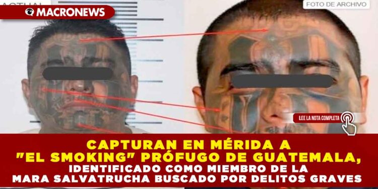 CAPTURAN EN MÉRIDA A «EL SMOKING» PRÓFUGO DE GUATEMALA, IDENTIFICADO COMO MIEMBRO DE LA MARA SALVATRUCHA BUSCADO POR DELITOS GRAVES