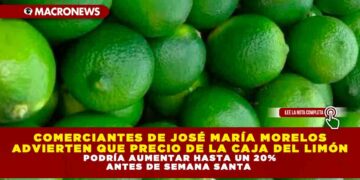 COMERCIANTES DE JOSÉ MARÍA MORELOS ADVIERTEN QUE PRECIO DE LA CAJA DEL LIMÓN PODRÍA AUMENTAR HASTA UN 20% ANTES DE SEMANA SANTA