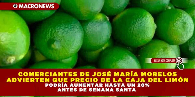 COMERCIANTES DE JOSÉ MARÍA MORELOS ADVIERTEN QUE PRECIO DE LA CAJA DEL LIMÓN PODRÍA AUMENTAR HASTA UN 20% ANTES DE SEMANA SANTA