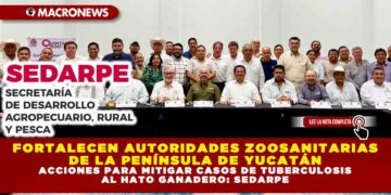 FORTALECEN AUTORIDADES ZOOSANITARIAS DE LA PENÍNSULA DE YUCATÁN ACCIONES PARA MITIGAR CASOS DE TUBERCULOSIS AL HATO GANADERO: SEDARPE