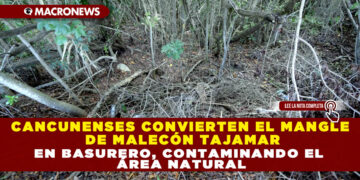 CANCUNENSES CONVIERTEN EL MANGLE DE MALECÓN TAJAMAR EN BASURERO, CONTAMINANDO EL ÁREA NATURAL