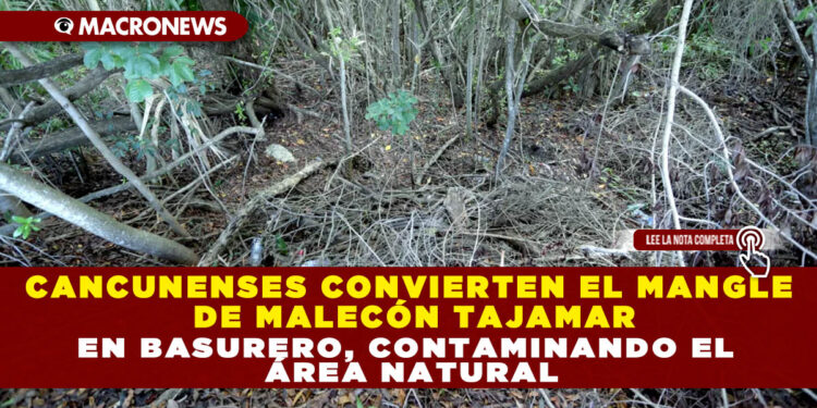 CANCUNENSES CONVIERTEN EL MANGLE DE MALECÓN TAJAMAR EN BASURERO, CONTAMINANDO EL ÁREA NATURAL