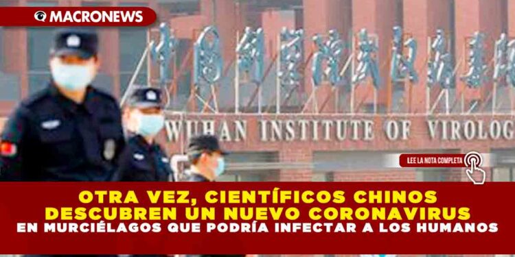 NUEVAMENTE CIENTÍFICOS CHINOS DESCUBREN UN NUEVO CORONAVIRUS EN MURCIÉLAGOS QUE PODRÍA INFECTAR A LOS HUMANOS