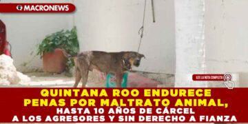 QUINTANA ROO ENDURECE PENAS POR MALTRATO ANIMAL, HASTA 10 AÑOS DE CÁRCEL A LOS AGRESORES Y SIN DERECHO A FIANZA