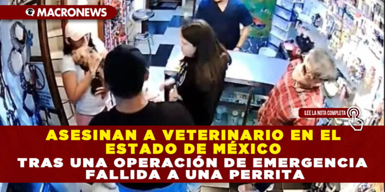 ASESINAN A VETERINARIO EN EL ESTADO DE MÉXICO TRAS UNA OPERACIÓN DE EMERGENCIA FALLIDA A UNA PERRITA