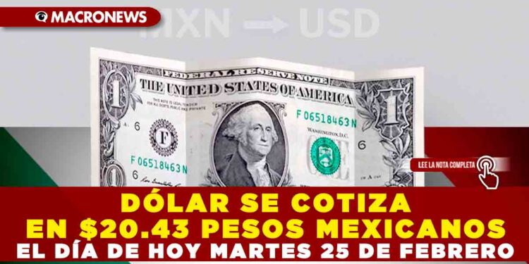 DÓLAR SE COTIZA EN $20.43 PESOS MEXICANOS EL DÍA DE HOY MARTES 25 DE FEBRERO
