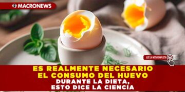 ES REALMENTE NECESARIO EL CONSUMO DEL HUEVO DURANTE LA DIETA, ESTO DICE LA CIENCIA