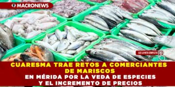 CUARESMA TRAE RETOS A COMERCIANTES DE MARISCOS EN MÉRIDA POR LA VEDA DE ESPECIES Y EL INCREMENTO DE PRECIOS