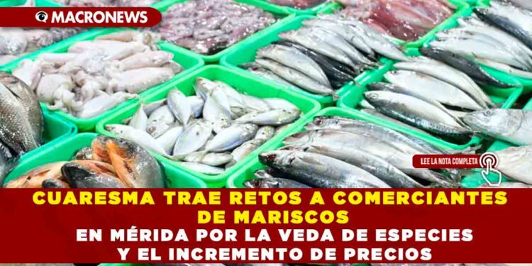 CUARESMA TRAE RETOS A COMERCIANTES DE MARISCOS EN MÉRIDA POR LA VEDA DE ESPECIES Y EL INCREMENTO DE PRECIOS