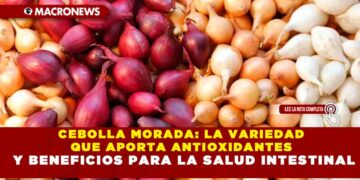 CEBOLLA MORADA: LA VARIEDAD QUE APORTA ANTIOXIDANTES Y BENEFICIOS PARA LA SALUD INTESTINAL