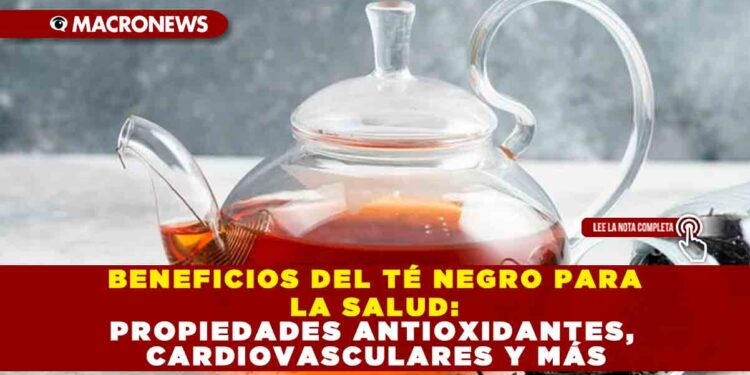BENEFICIOS DEL TÉ NEGRO PARA LA SALUD: PROPIEDADES ANTIOXIDANTES, CARDIOVASCULARES Y MÁS