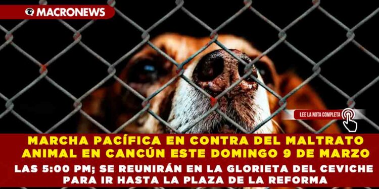 MARCHA PACÍFICA EN CONTRA DEL MALTRATO ANIMAL EN CANCÚN ESTE DOMINGO 9 DE MARZO A LAS 5:00 PM; SE REUNIRÁN EN LA GLORIETA DEL CEVICHE PARA IR HASTA LA PLAZA DE LA REFORMA