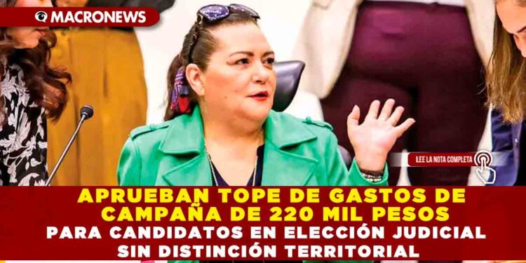 APRUEBAN TOPE DE GASTOS DE CAMPAÑA DE 220 MIL PESOS PARA CANDIDATOS EN ELECCIÓN JUDICIAL SIN DISTINCIÓN TERRITORIAL