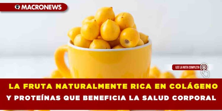 LA FRUTA NATURALMENTE RICA EN COLÁGENO Y PROTEÍNAS QUE BENEFICIA LA SALUD CORPORAL