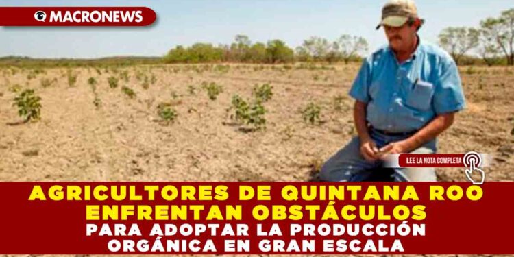 AGRICULTORES DE QUINTANA ROO ENFRENTAN OBSTÁCULOS PARA ADOPTAR LA PRODUCCIÓN ORGÁNICA EN GRAN ESCALA