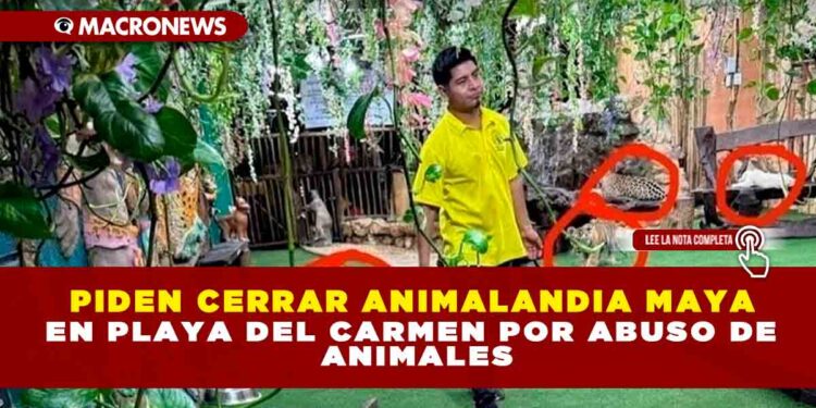 PIDEN CERRAR ANIMALANDIA MAYA EN PLAYA DEL CARMEN POR ABUSO DE ANIMALES