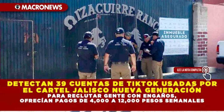 DETECTAN 39 CUENTAS DE TIKTOK USADAS POR EL CARTEL JALISCO NUEVA GENERACIÓN PARA RECLUTAR GENTE CON ENGAÑOS, OFRECÍAN PAGOS DE 4,000 A 12,000 PESOS SEMANALES