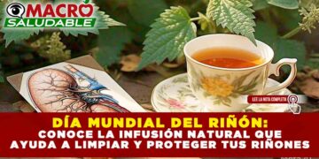 DÍA MUNDIAL DEL RIÑÓN: CONOCE LA INFUSIÓN NATURAL QUE AYUDA A LIMPIAR Y PROTEGER TUS RIÑONES