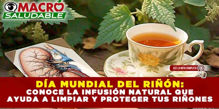 DÍA MUNDIAL DEL RIÑÓN: CONOCE LA INFUSIÓN NATURAL QUE AYUDA A LIMPIAR Y PROTEGER TUS RIÑONES