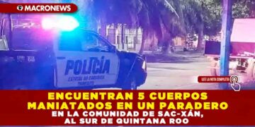 ENCUENTRAN 5 CUERPOS MANIATADOS EN UN PARADERO EN LA COMUNIDAD DE SAC-XÁN, AL SUR DE QUINTANA ROO