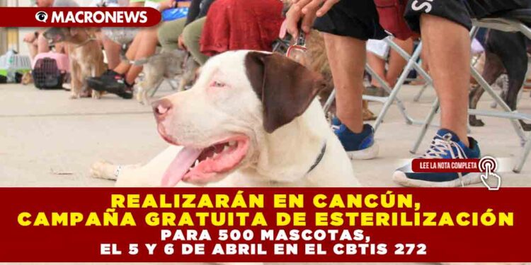 REALIZARÁN EN CANCÚN, CAMPAÑA GRATUITA DE ESTERILIZACIÓN PARA 500 MASCOTAS, EL 5 Y 6 DE ABRIL EN EL CBTIS 272