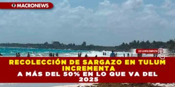 RECOLECCIÓN DE SARGAZO EN TULUM INCREMENTA A MÁS DEL 50% EN LO QUE VA DEL 2025