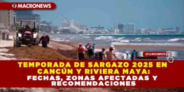 TEMPORADA DE SARGAZO 2025 EN CANCÚN Y RIVIERA MAYA: FECHAS, ZONAS AFECTADAS Y RECOMENDACIONES