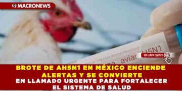 BROTE DE AH5N1 EN MÉXICO ENCIENDE ALERTAS Y SE CONVIERTE EN LLAMADO URGENTE PARA FORTALECER EL SISTEMA DE SALUD
