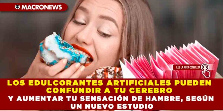 LOS EDULCORANTES ARTIFICIALES PUEDEN CONFUNDIR A TU CEREBRO Y AUMENTAR TU SENSACIÓN DE HAMBRE, SEGÚN UN NUEVO ESTUDIO