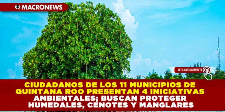 CIUDADANOS DE LOS 11 MUNICIPIOS DE QUINTANA ROO PRESENTAN 4 INICIATIVAS AMBIENTALES; BUSCAN PROTEGER HUMEDALES, CENOTES Y MANGLARES