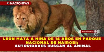 LEÓN MATA A NIÑA DE 14 AÑOS EN PARQUE NACIONAL DE NAIROBI; AUTORIDADES BUSCAN AL ANIMAL